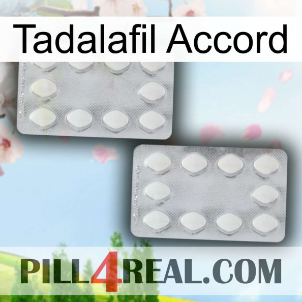 Tadalafil Accord 17.jpg